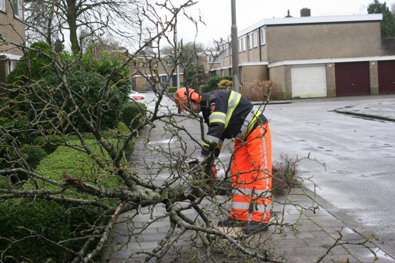 Brandweer haalt gevaarlijk hangende boom neer