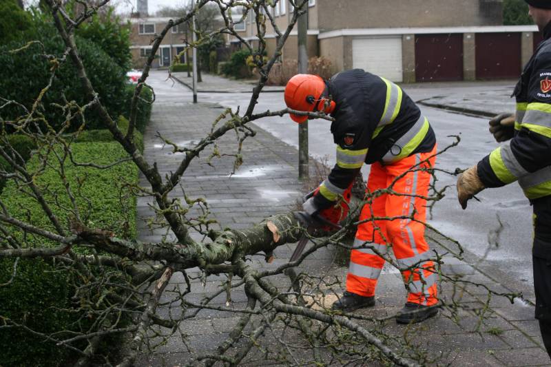 Brandweer haalt gevaarlijk hangende boom neer