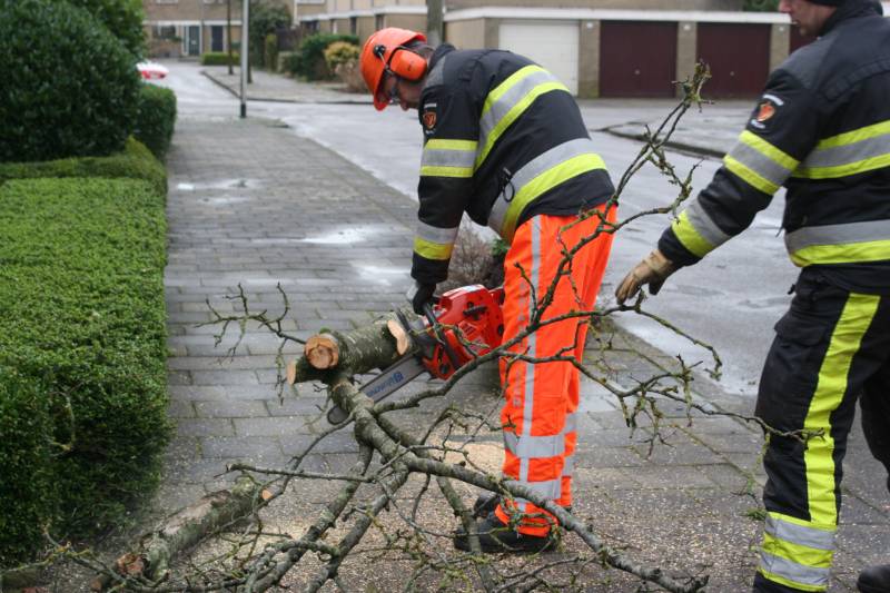 Brandweer haalt gevaarlijk hangende boom neer