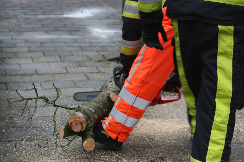Brandweer haalt gevaarlijk hangende boom neer