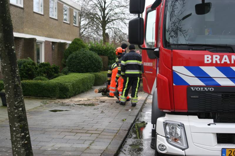 Brandweer haalt gevaarlijk hangende boom neer