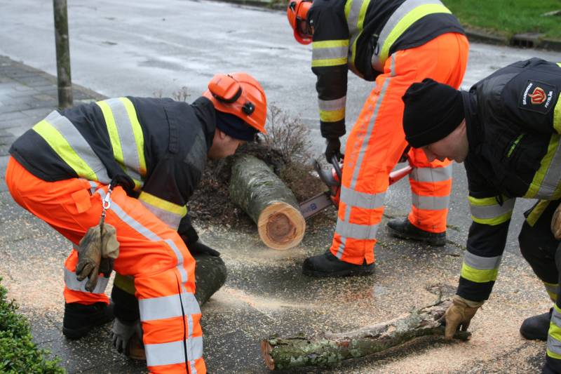 Brandweer haalt gevaarlijk hangende boom neer
