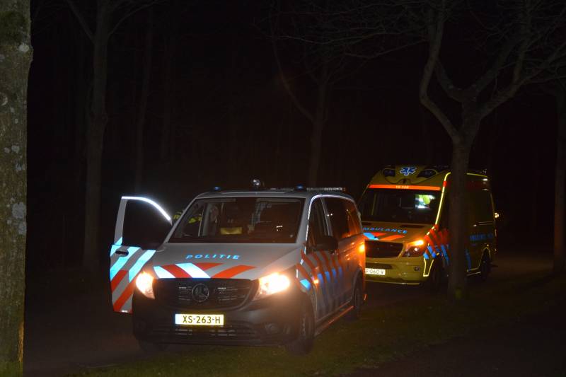 Auto botst tegen boom