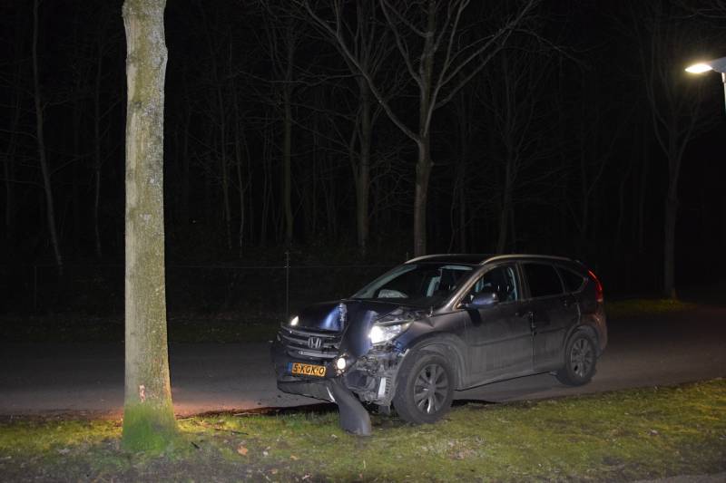 Auto botst tegen boom