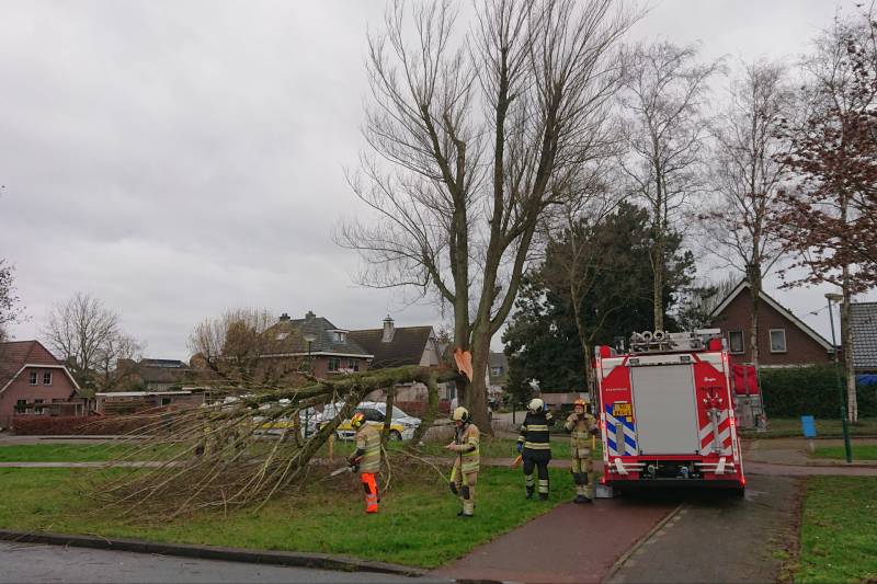 Afgebroken boom verspert fietspad