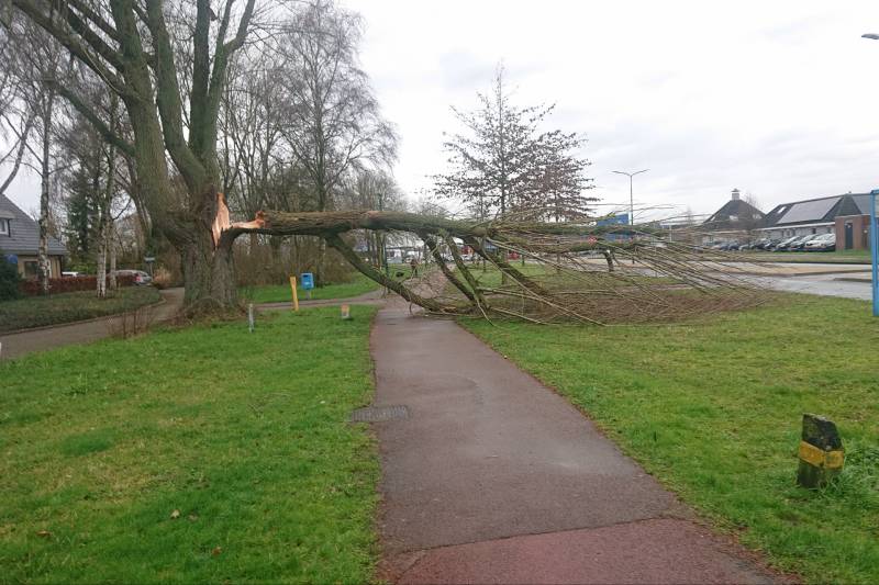 Afgebroken boom verspert fietspad