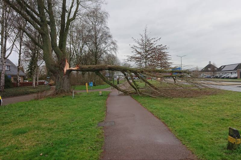 Afgebroken boom verspert fietspad