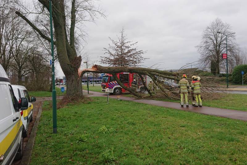 Afgebroken boom verspert fietspad