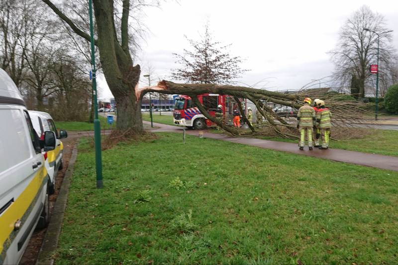 Afgebroken boom verspert fietspad