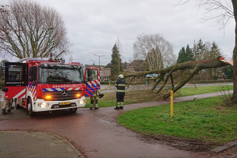 Afgebroken boom verspert fietspad