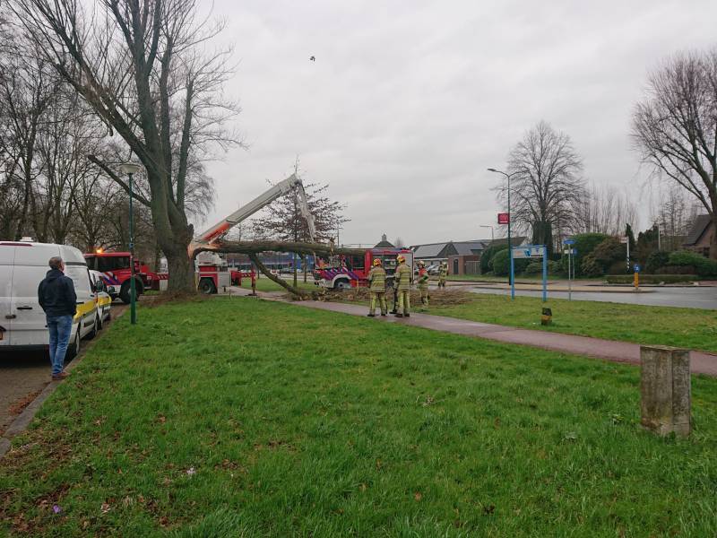Afgebroken boom verspert fietspad