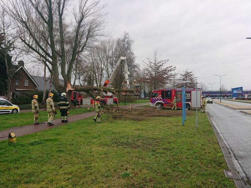 Afgebroken boom verspert fietspad