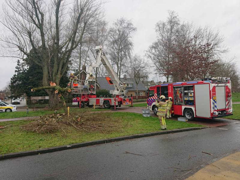 Afgebroken boom verspert fietspad