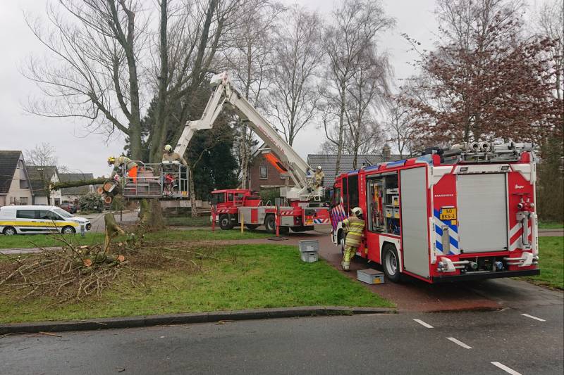 Afgebroken boom verspert fietspad