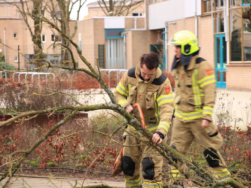 Gevaarlijk hangende tak verwijderd