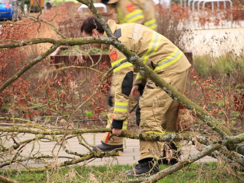 Gevaarlijk hangende tak verwijderd