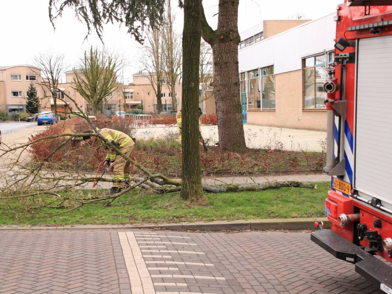 Gevaarlijk hangende tak verwijderd