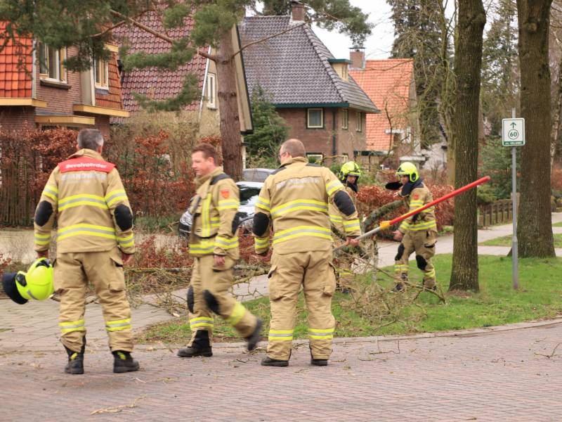 Gevaarlijk hangende tak verwijderd