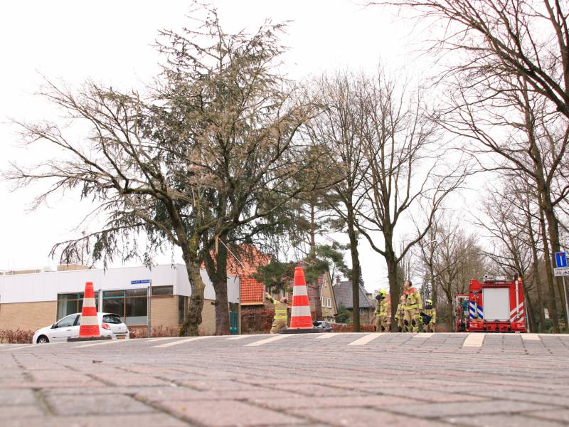 Gevaarlijk hangende tak verwijderd