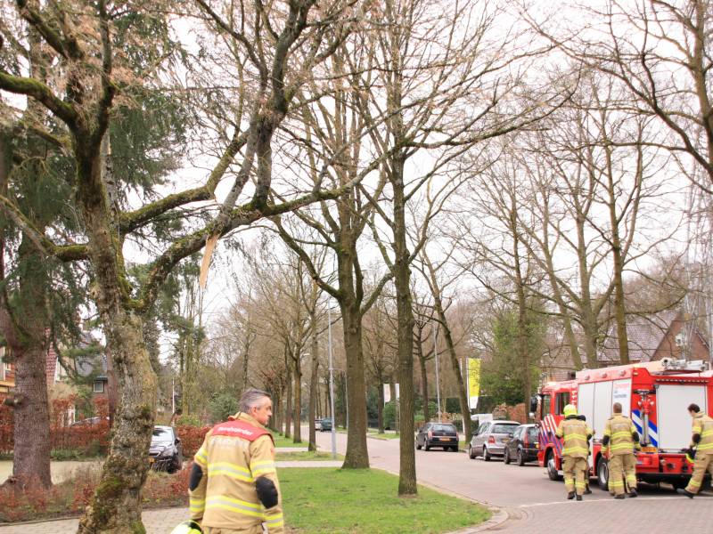 Gevaarlijk hangende tak verwijderd