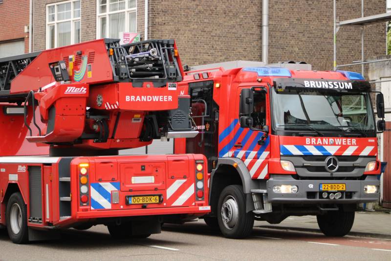 Hoge boom ingescheurd