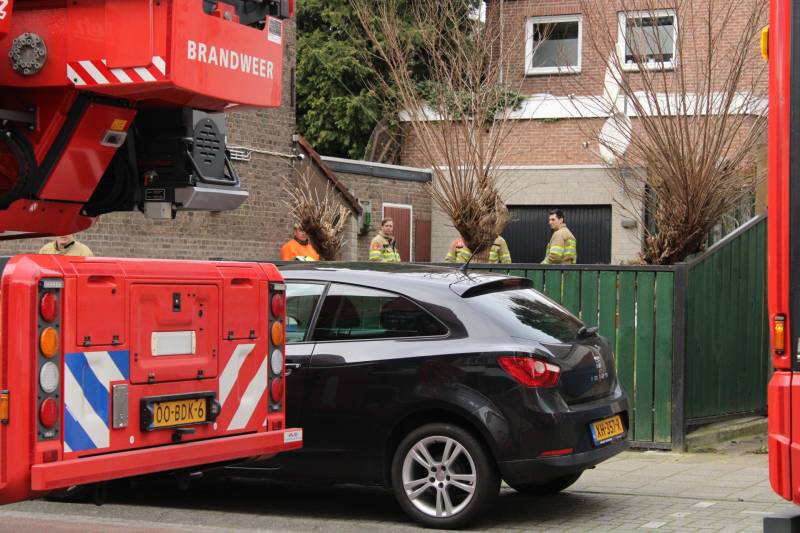 Hoge boom ingescheurd