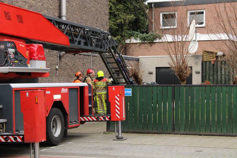 Hoge boom ingescheurd