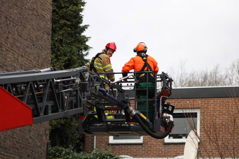 Hoge boom ingescheurd