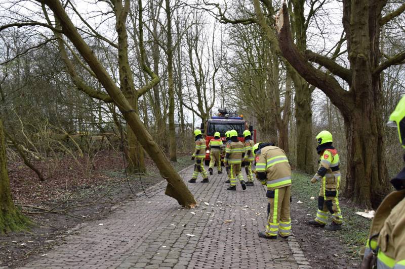 Deel van boom afgebroken door storm
