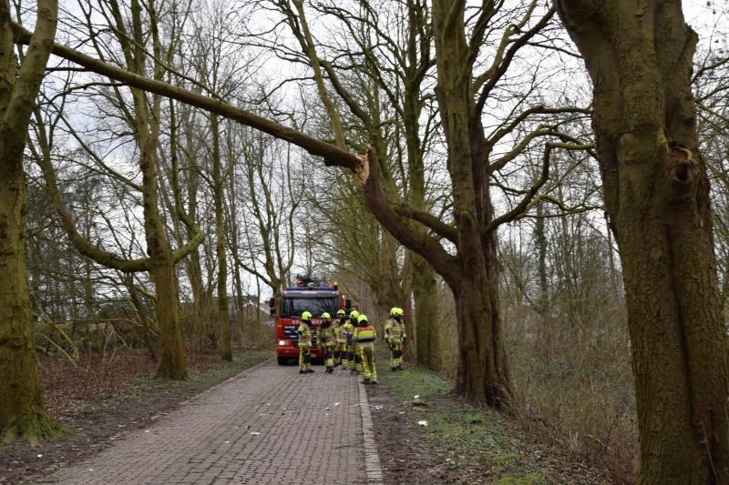 Deel van boom afgebroken door storm