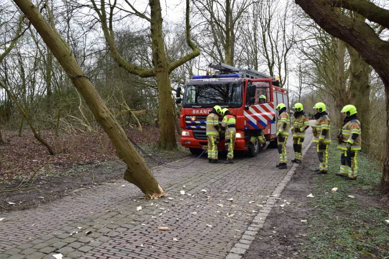 Deel van boom afgebroken door storm