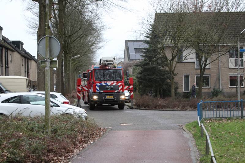 Loshangende takken zorgen voor gevaarlijke situaties