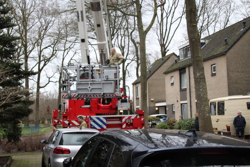 Loshangende takken zorgen voor gevaarlijke situaties