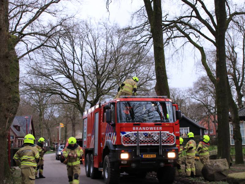 Halsbrekende toeren om tak boven de weg te verwijderen