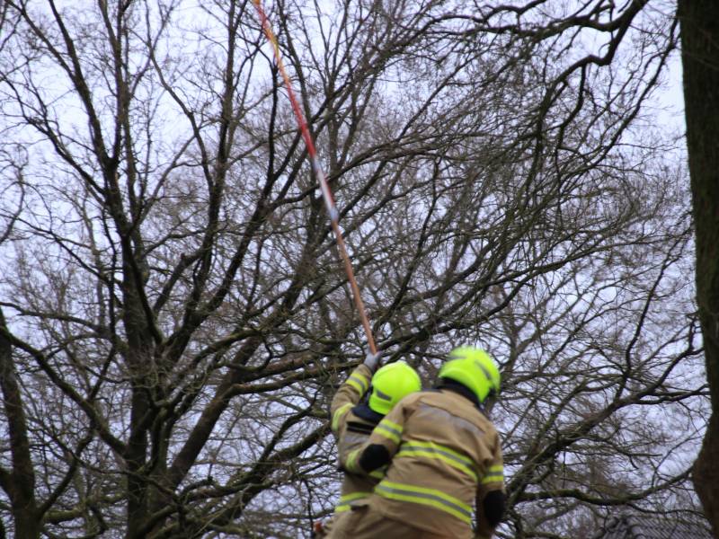 Halsbrekende toeren om tak boven de weg te verwijderen