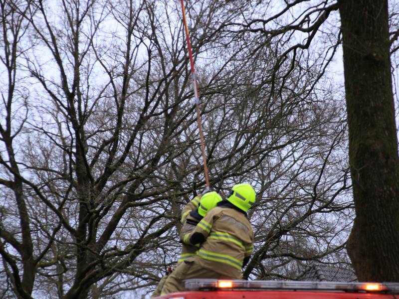 Halsbrekende toeren om tak boven de weg te verwijderen