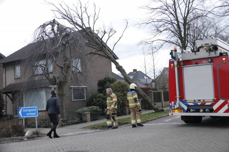 Grote boom valt op woning