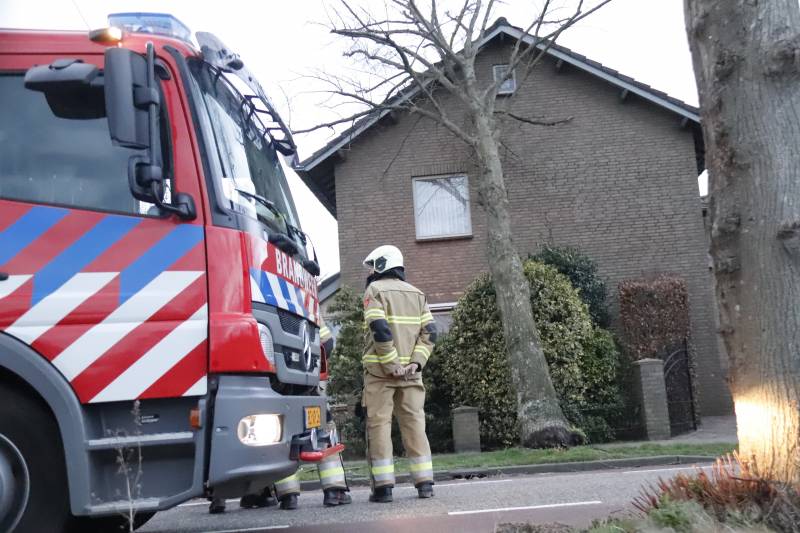 Grote boom valt op woning