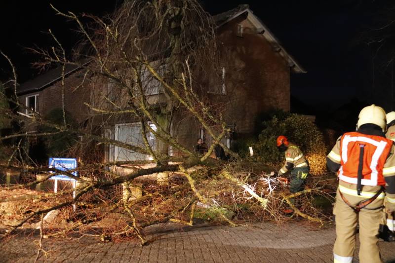 Grote boom valt op woning