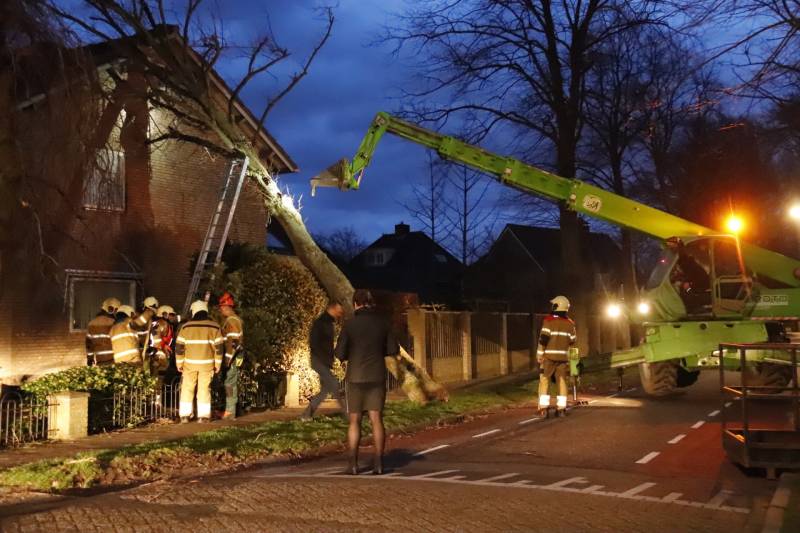 Grote boom valt op woning