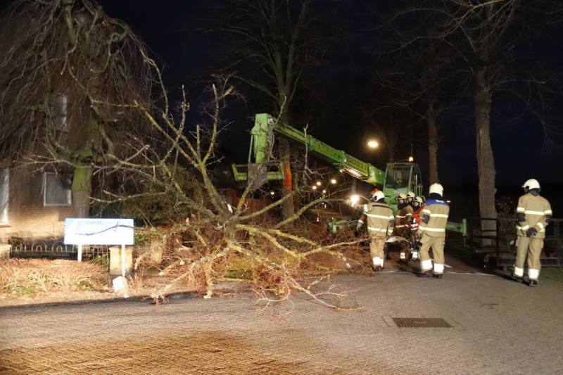 Grote boom valt op woning