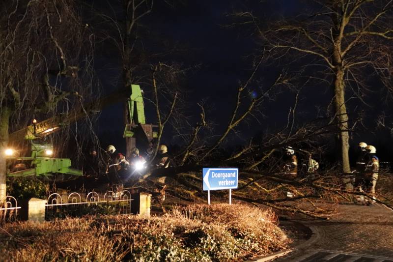 Grote boom valt op woning