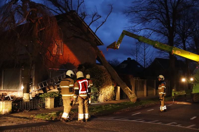 Grote boom valt op woning