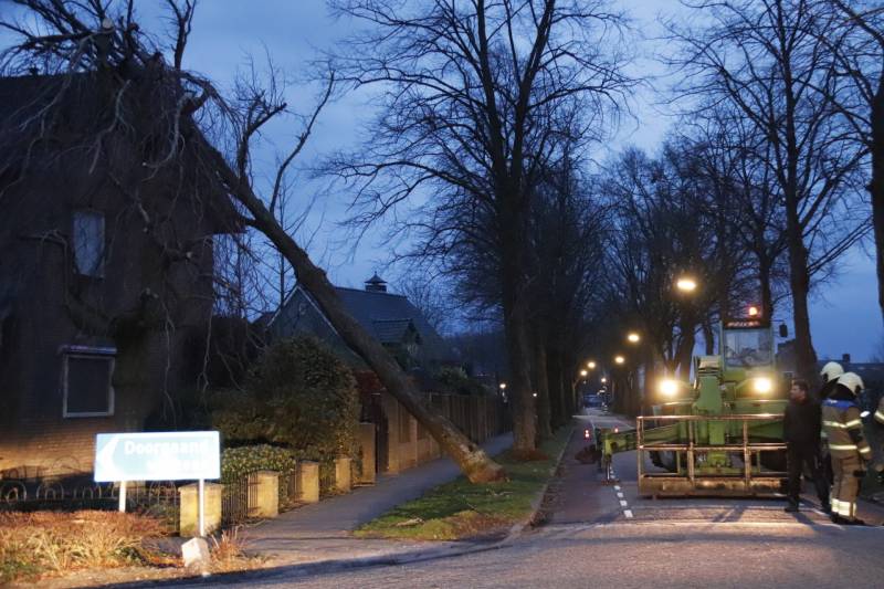 Grote boom valt op woning