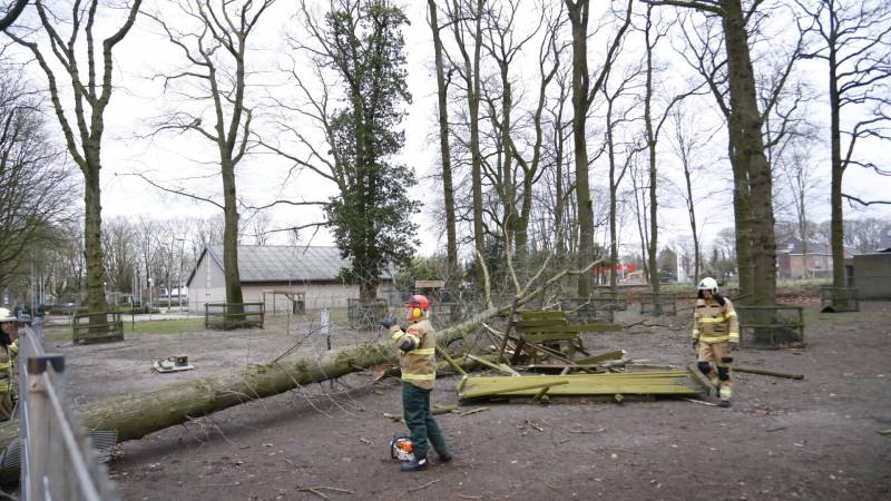 Boom valt door hekwerk van dierenverblijf