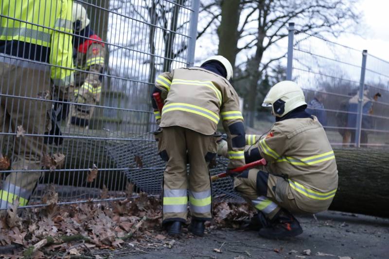 Boom valt door hekwerk van dierenverblijf