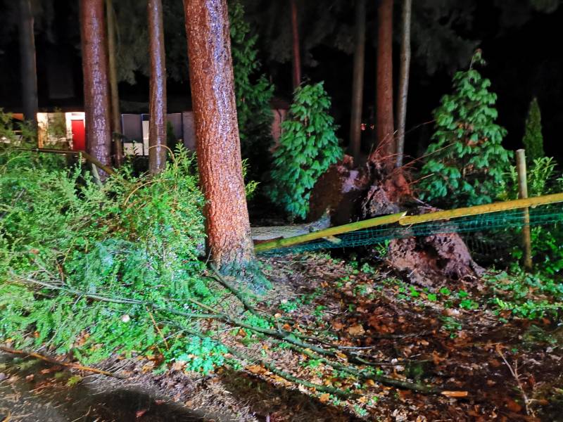 Boom breekt af en blokkeert weg