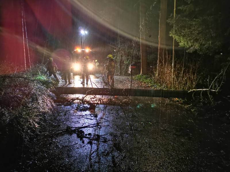 Boom breekt af en blokkeert weg