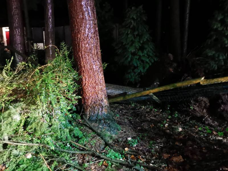 Boom breekt af en blokkeert weg