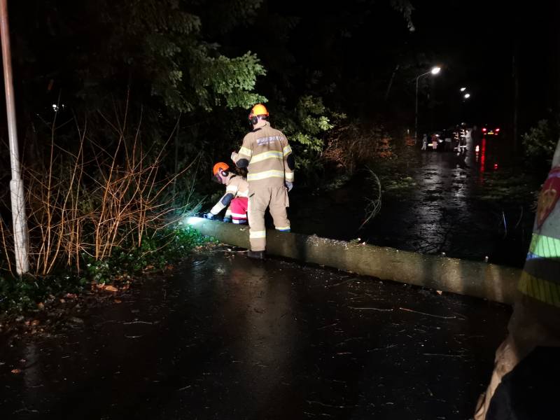 Boom breekt af en blokkeert weg